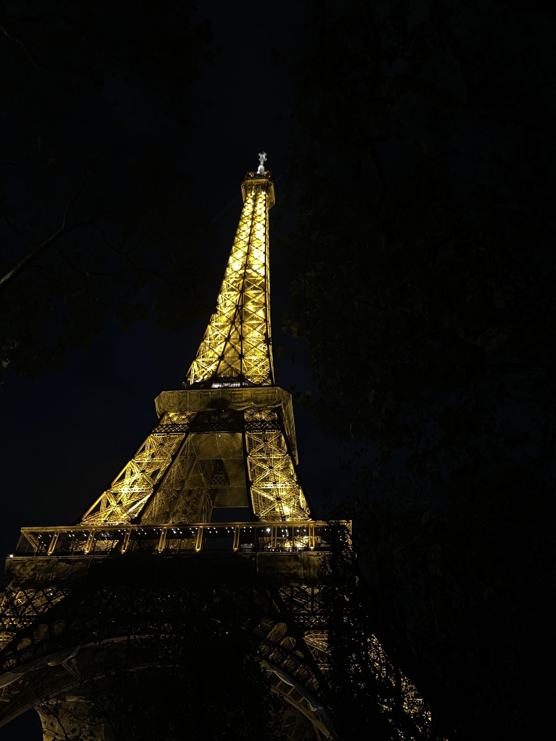 france6