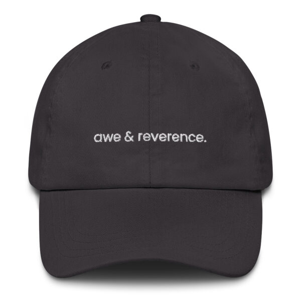 Awe & Reverence Hat