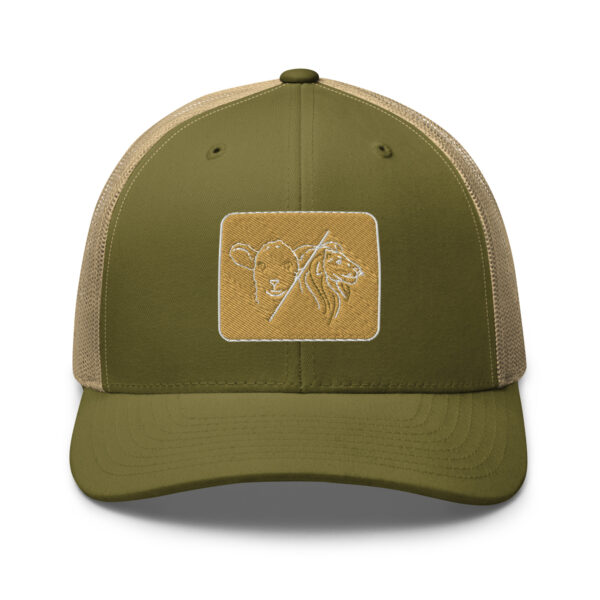 Lion Lamb Hat - Image 25