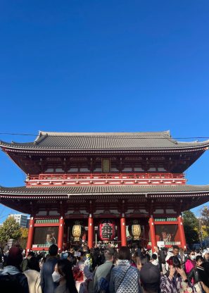 website4